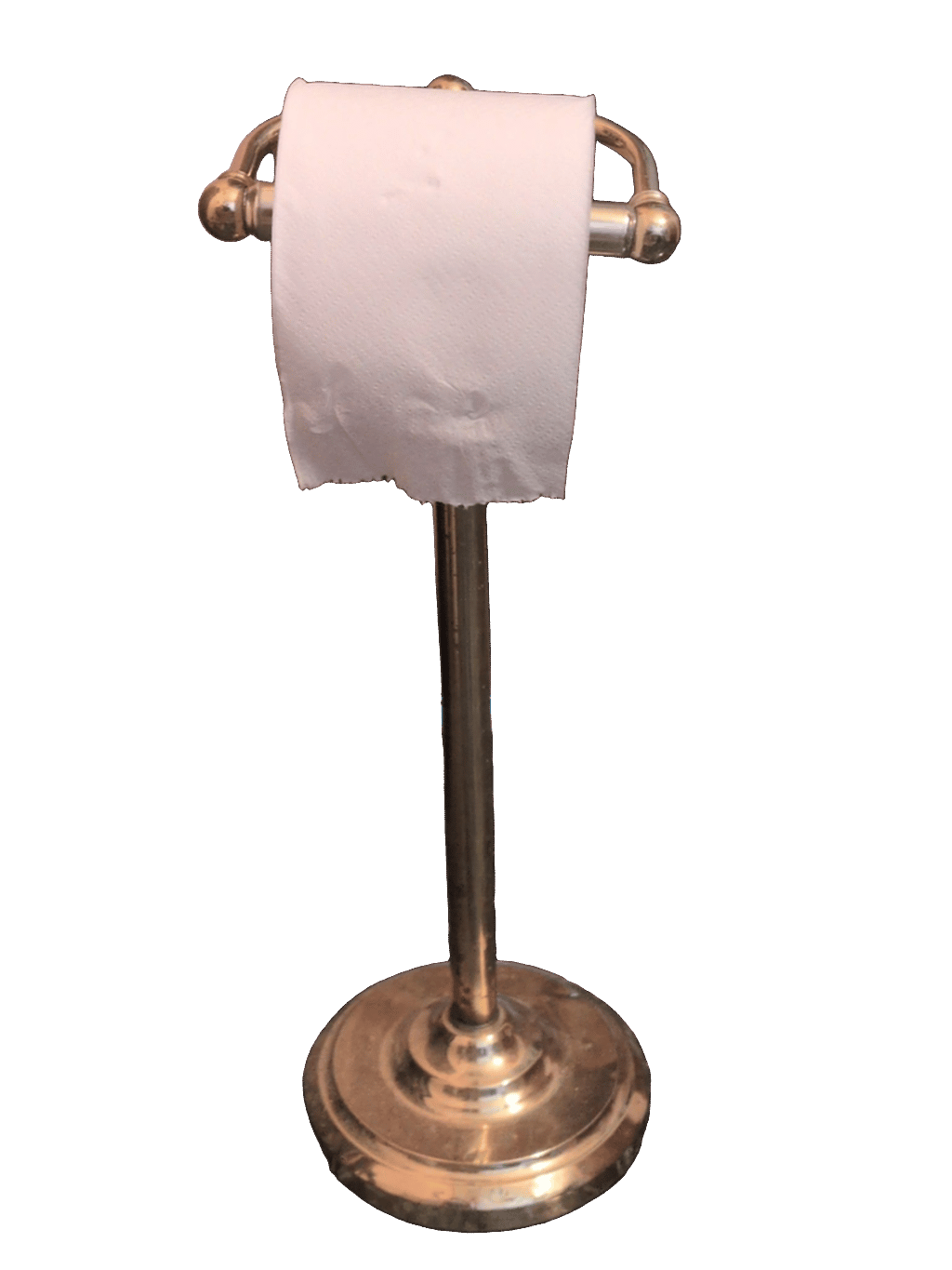 Toilet Paper Holder, a captured specimen