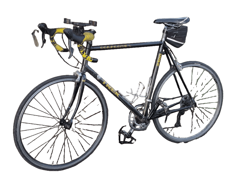 Road Bicycle, a captured specimen