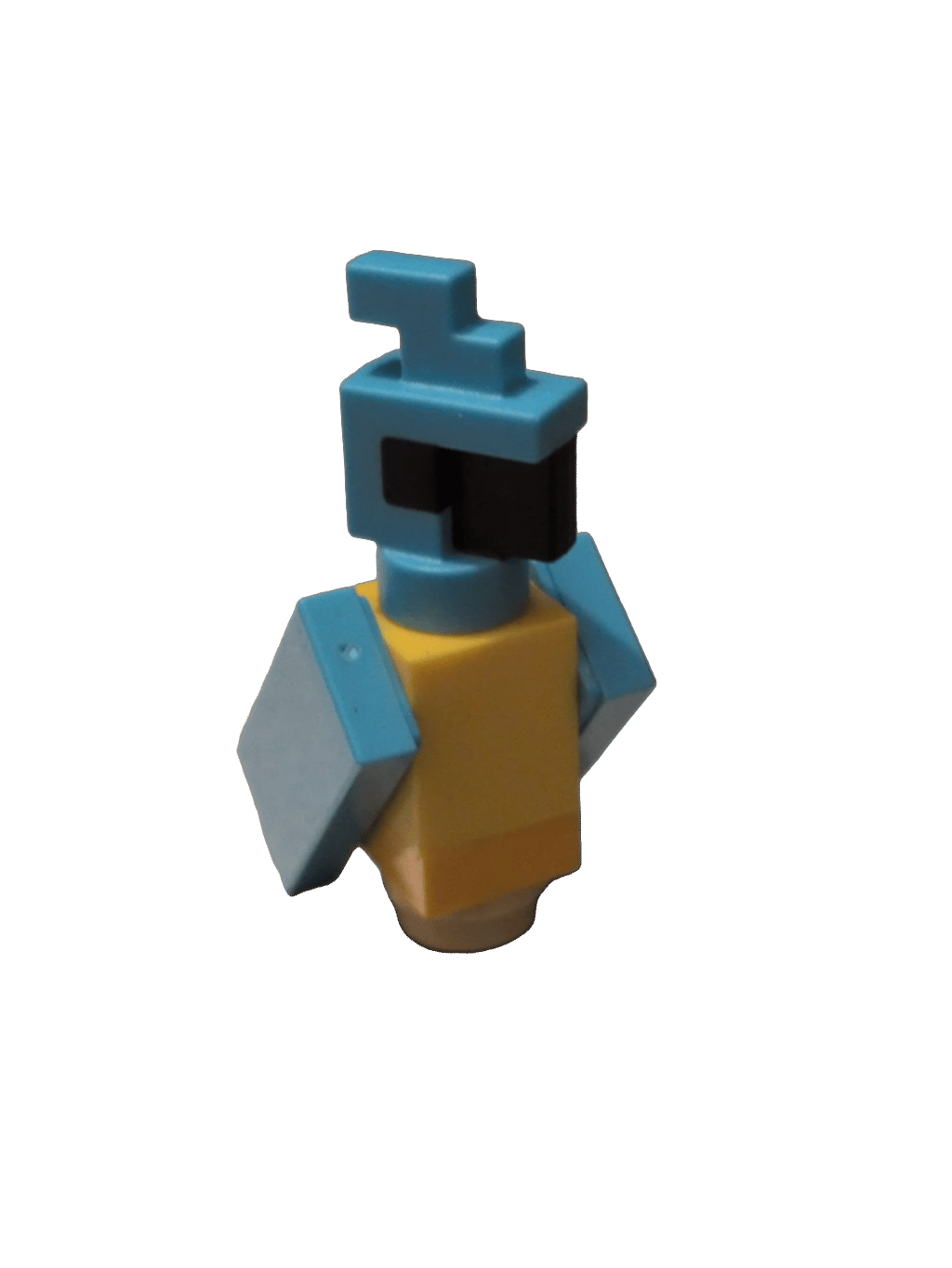 Toy Bird, a recorded specimen