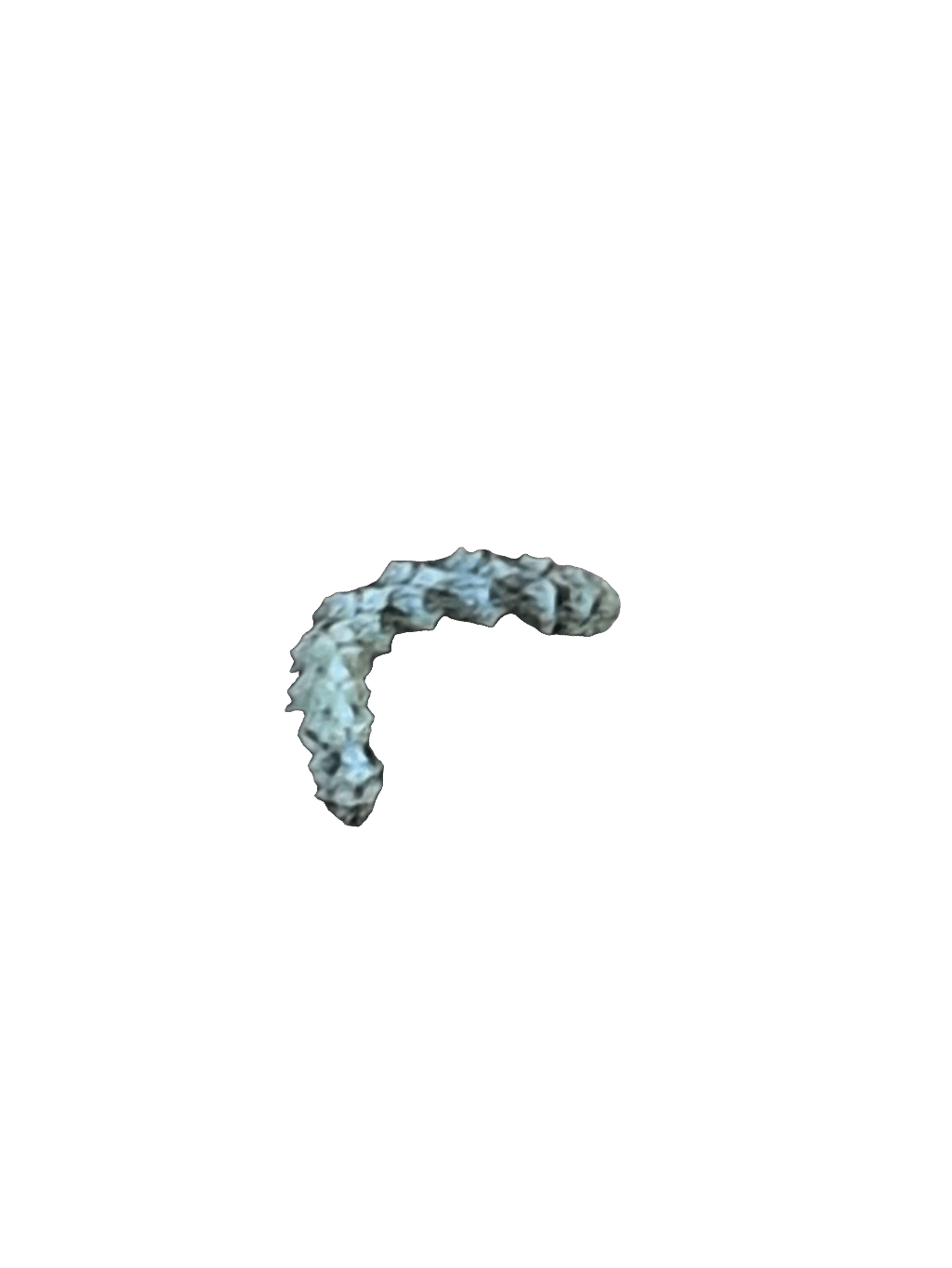 Caterpillar