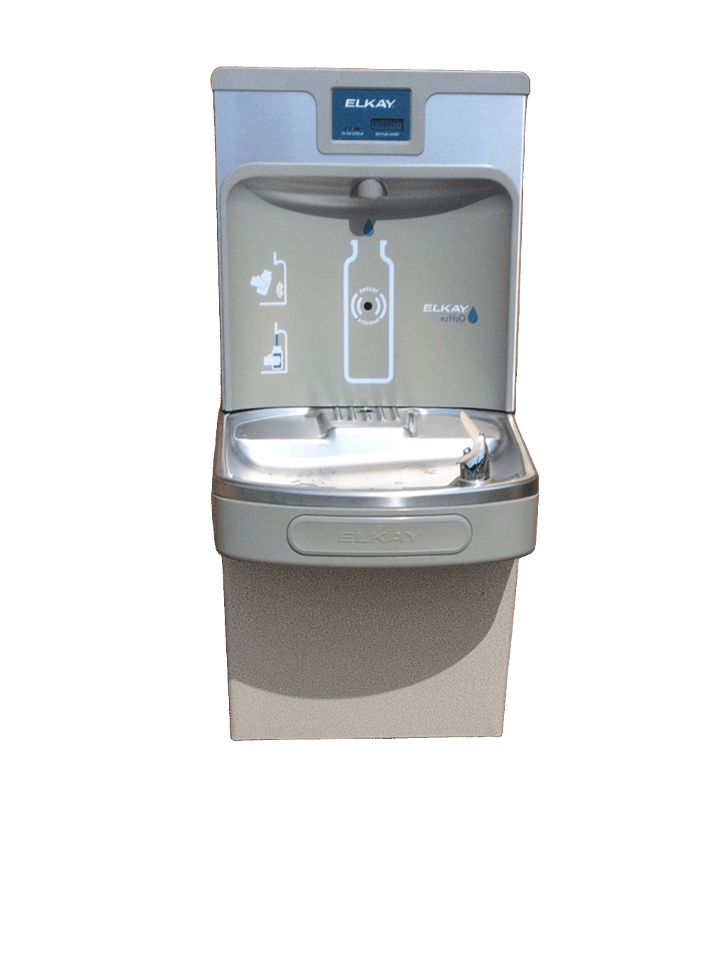 Water Fountain, a recorded specimen