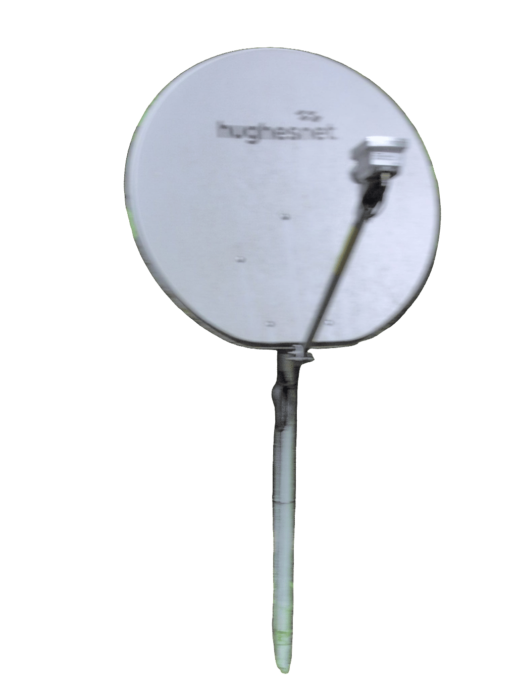 Satellite Dish, a recorded specimen