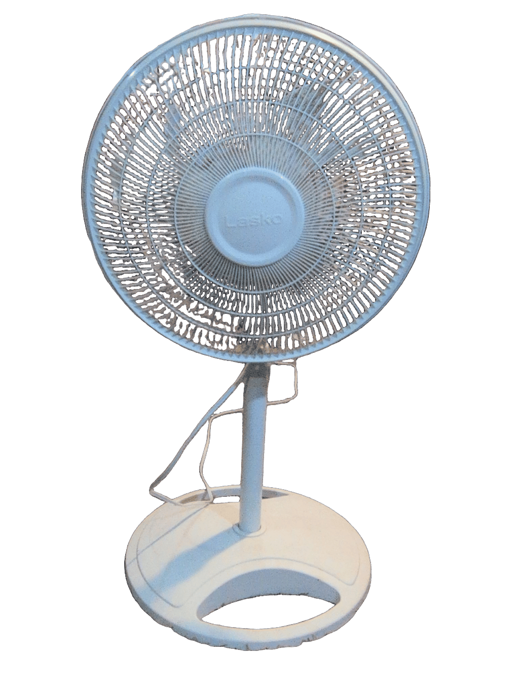 Pedestal Fan, a captured specimen