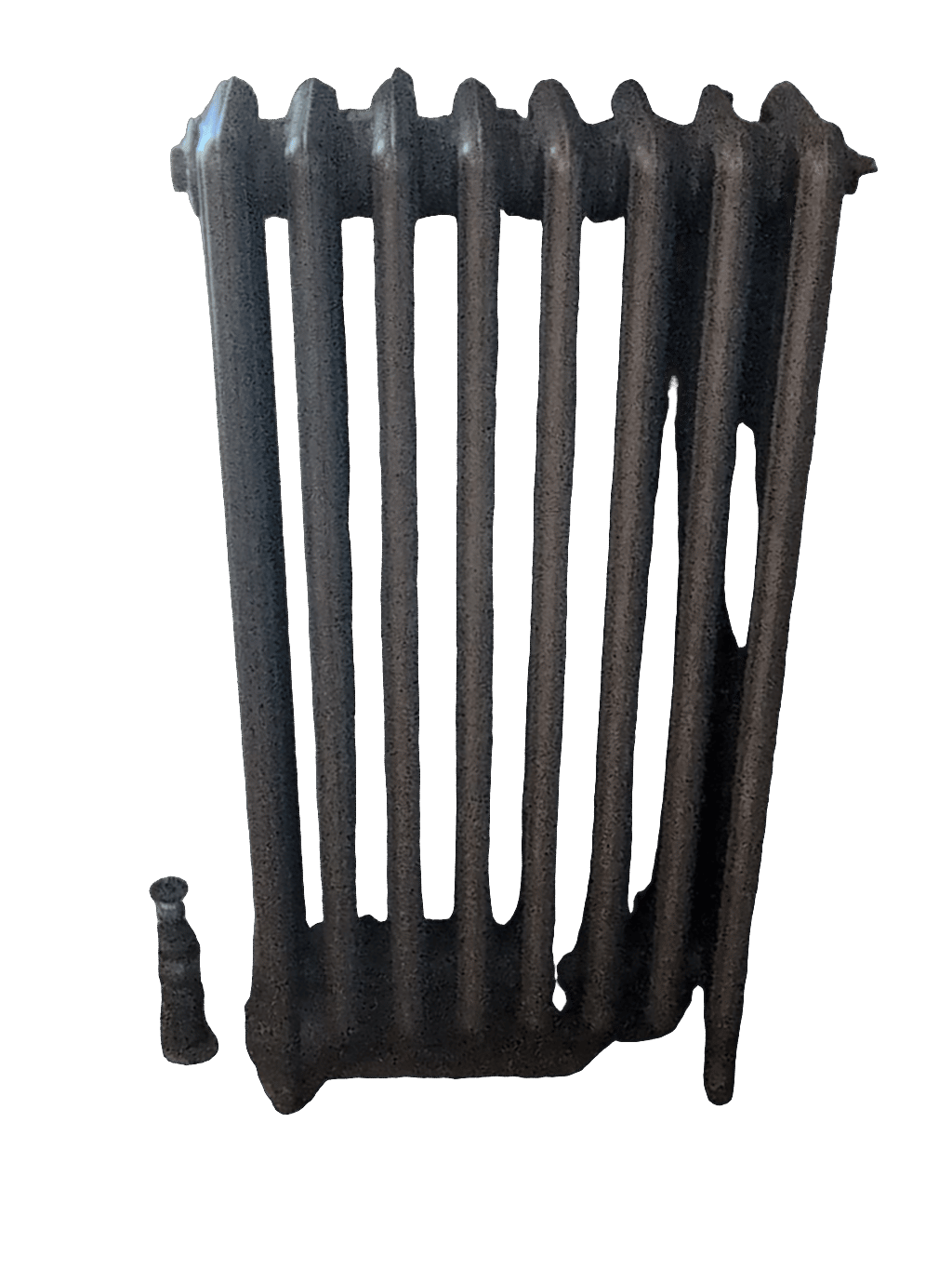 Radiator, a recorded specimen