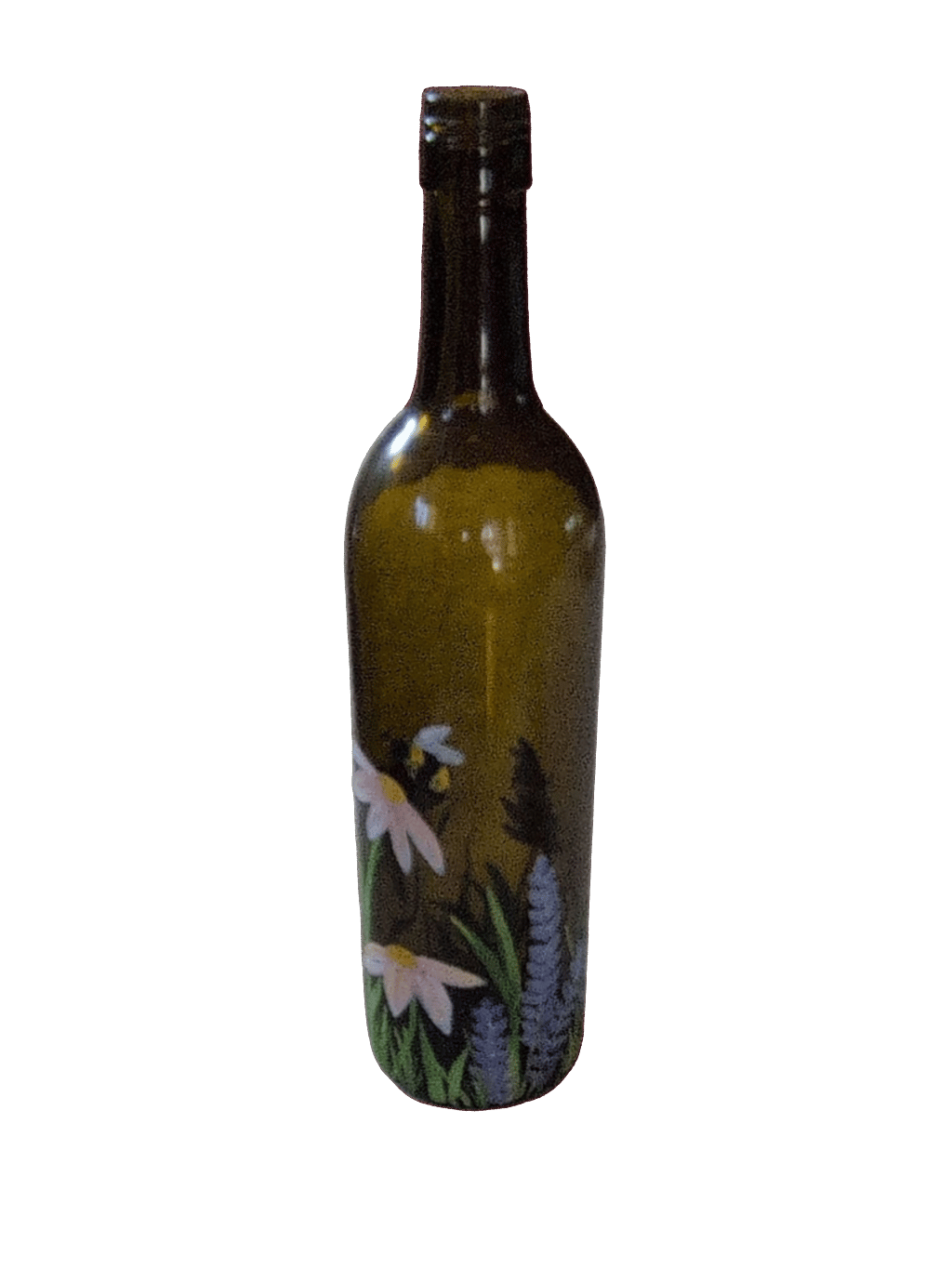 Wine Bottle, a recorded specimen