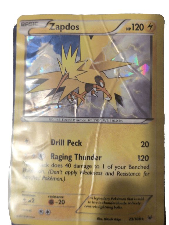 Zapdos Card, a recorded specimen