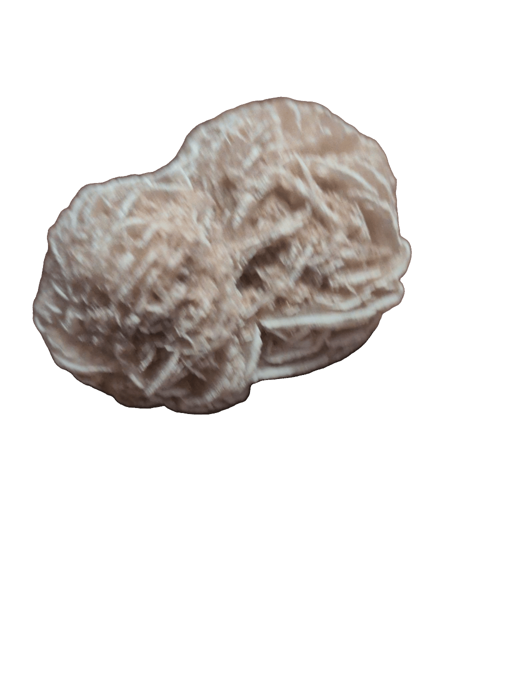 Gypsum Rosette