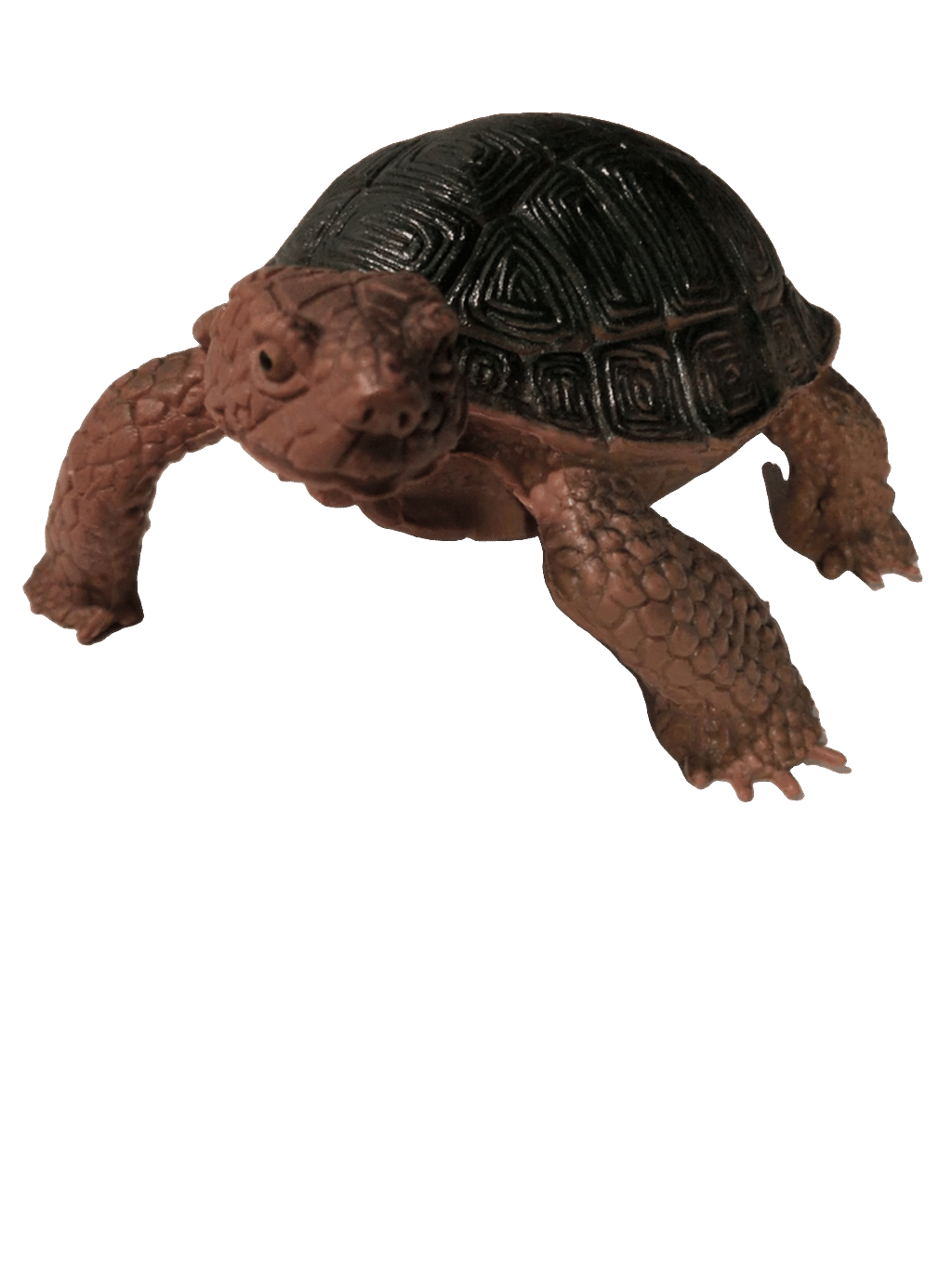 Tortoise Figurine, a recorded specimen