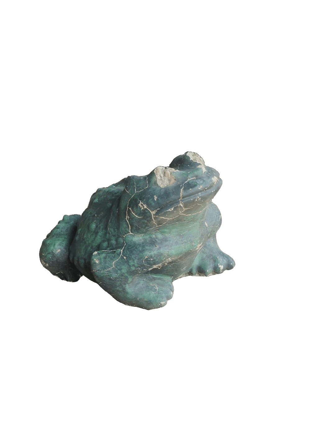 Frog Statue, a captured specimen