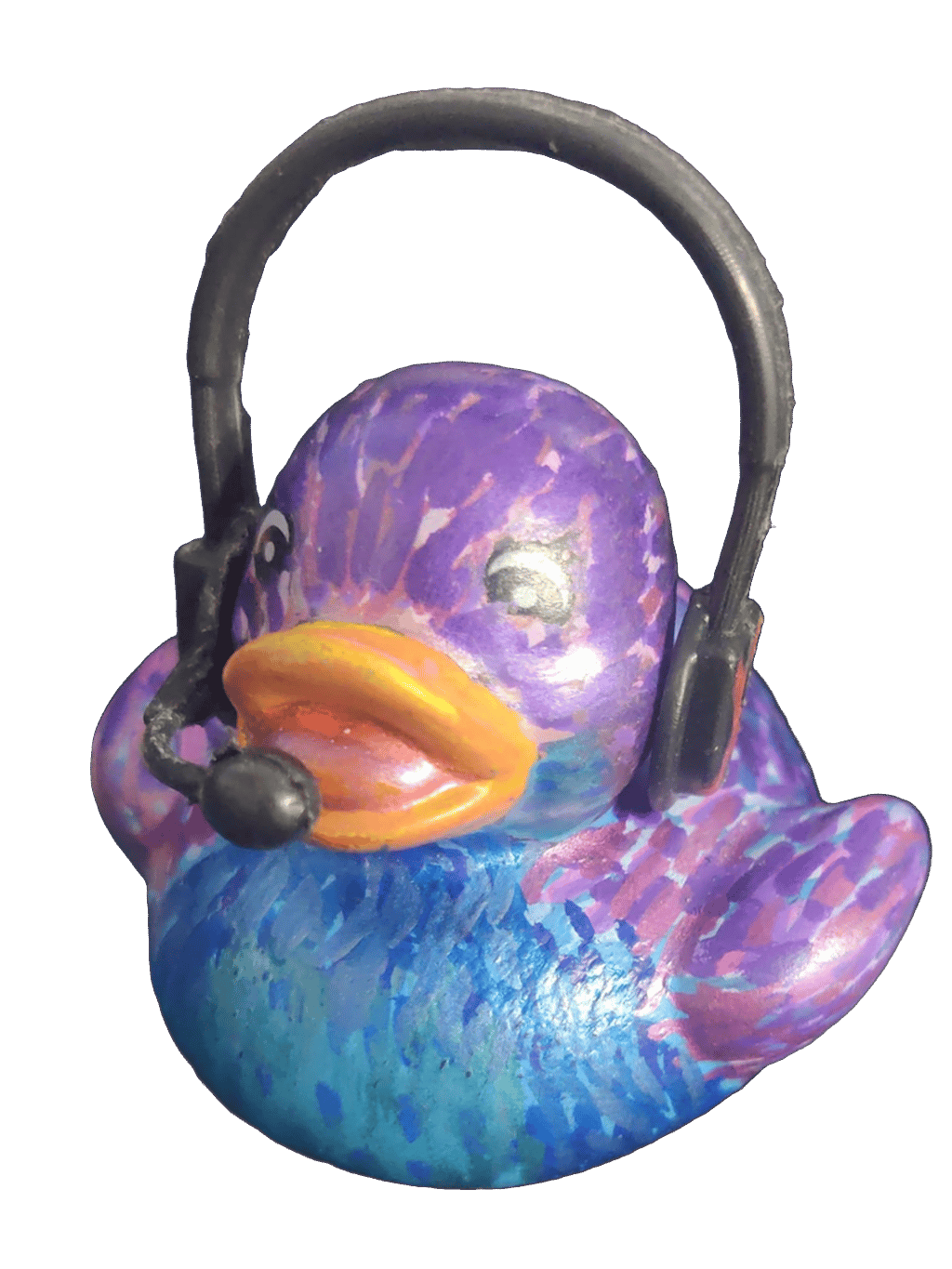 Toy Duck, a captured specimen