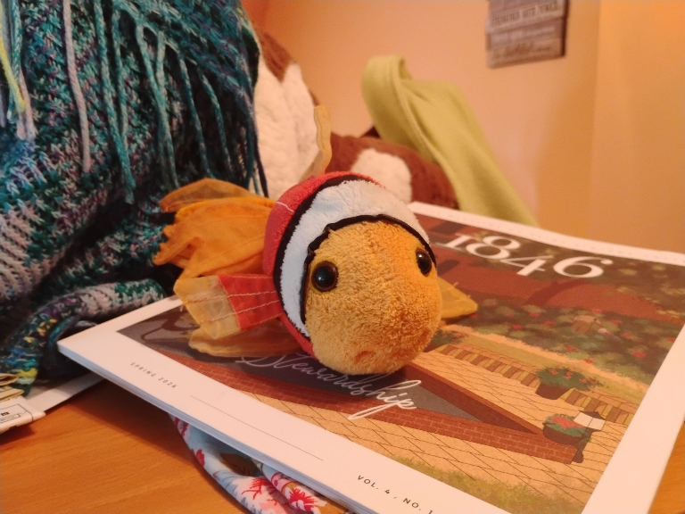 Stuffed Fish Toy, a recorded specimen