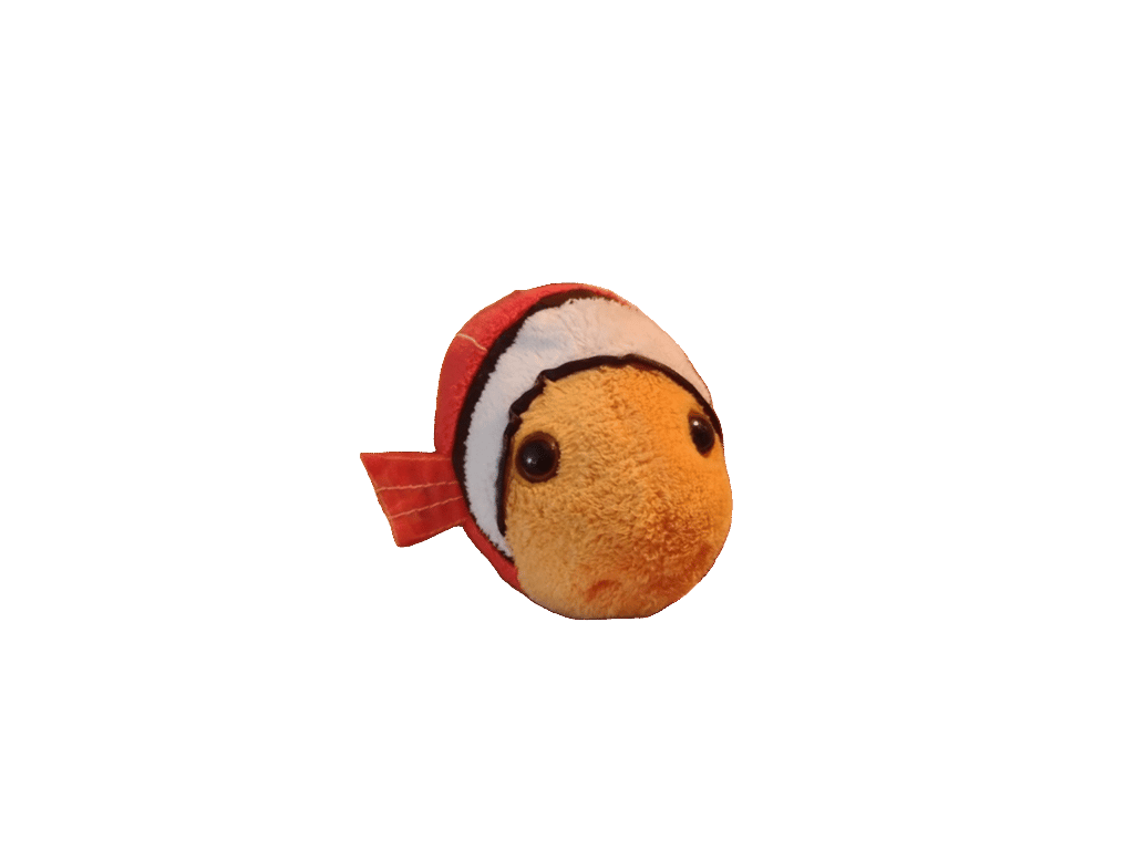 Stuffed Fish Toy, a recorded specimen