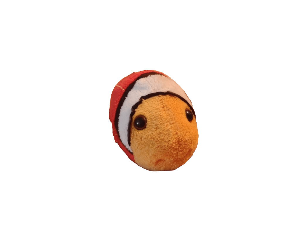 Stuffed Fish Toy, a recorded specimen