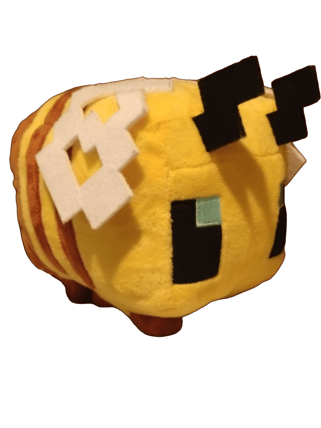 Stuffed Bee, a captured specimen