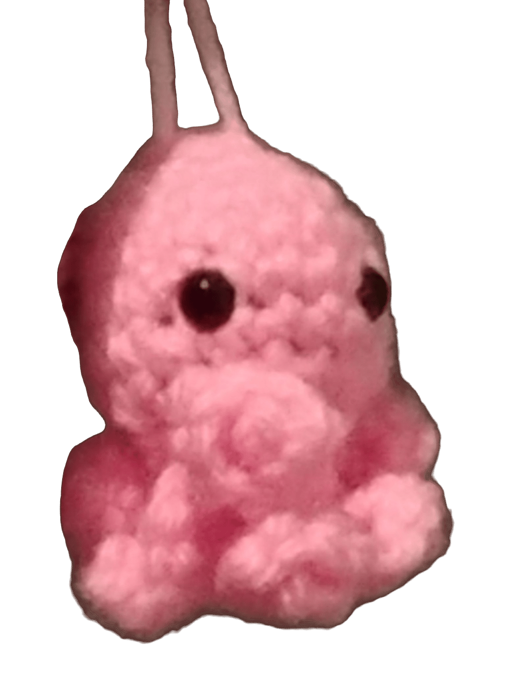 Stuffed Octopus, a captured specimen
