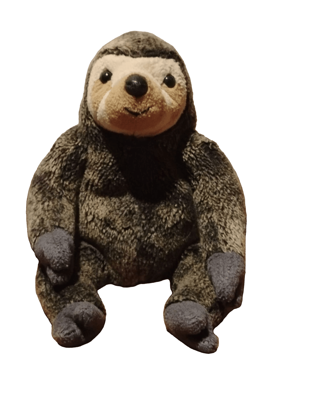 Sloth Plush Toy, a captured specimen