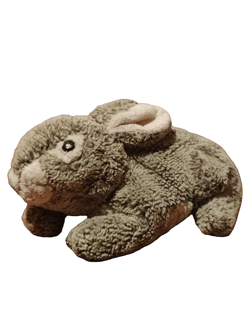 Stuffed Elephant, a captured specimen