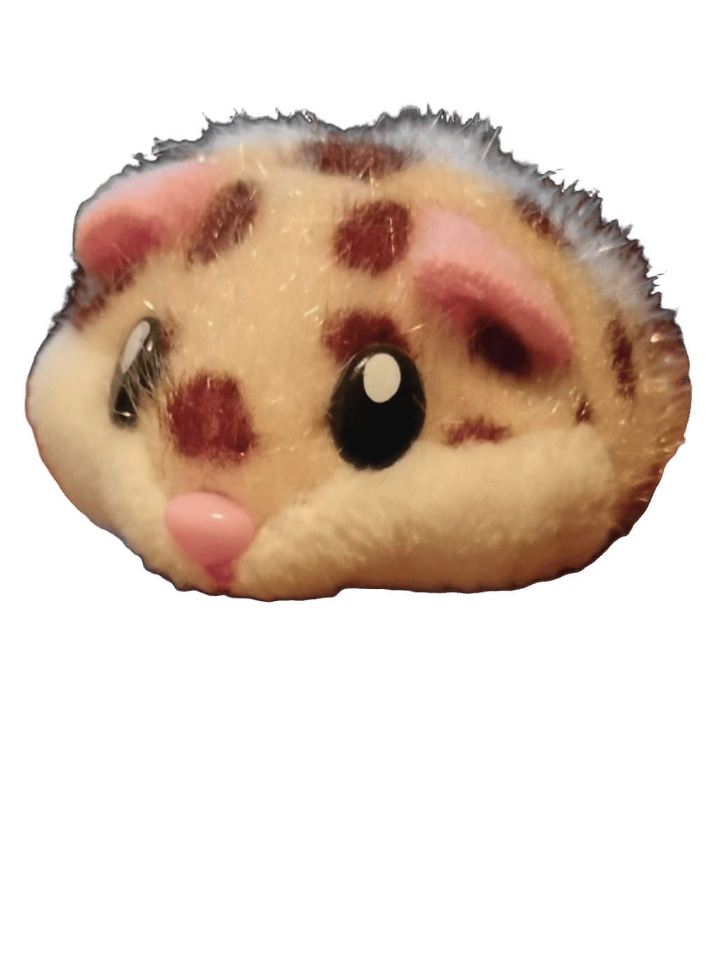 Stuffed Hamster, a captured specimen