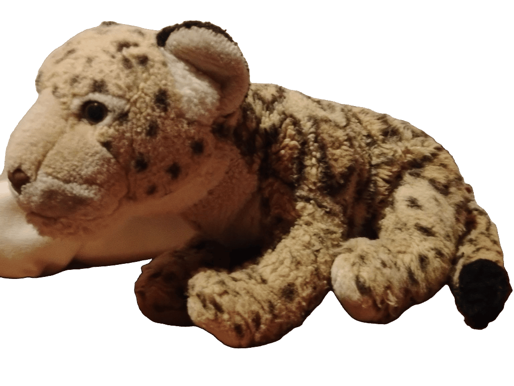 Teddy Bear, a recorded specimen