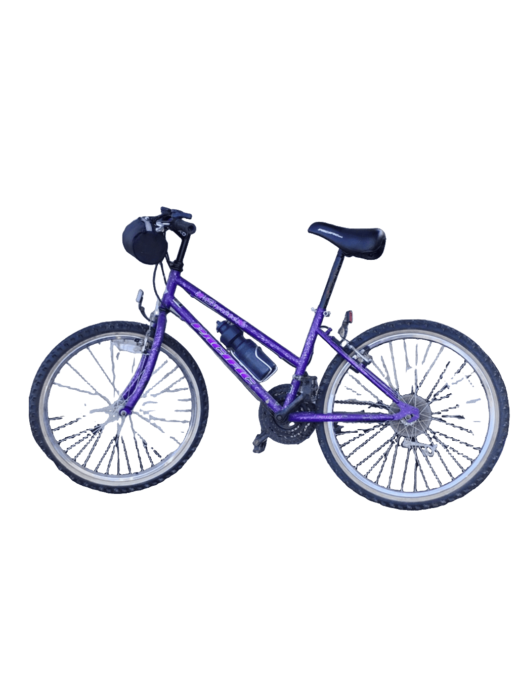 Bicycle, a recorded specimen