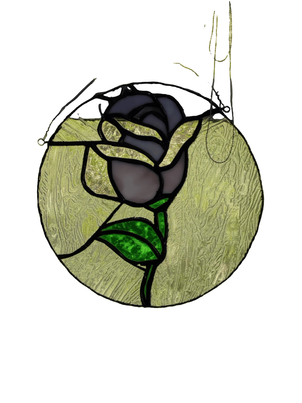 Stained Glass Rose, a captured specimen