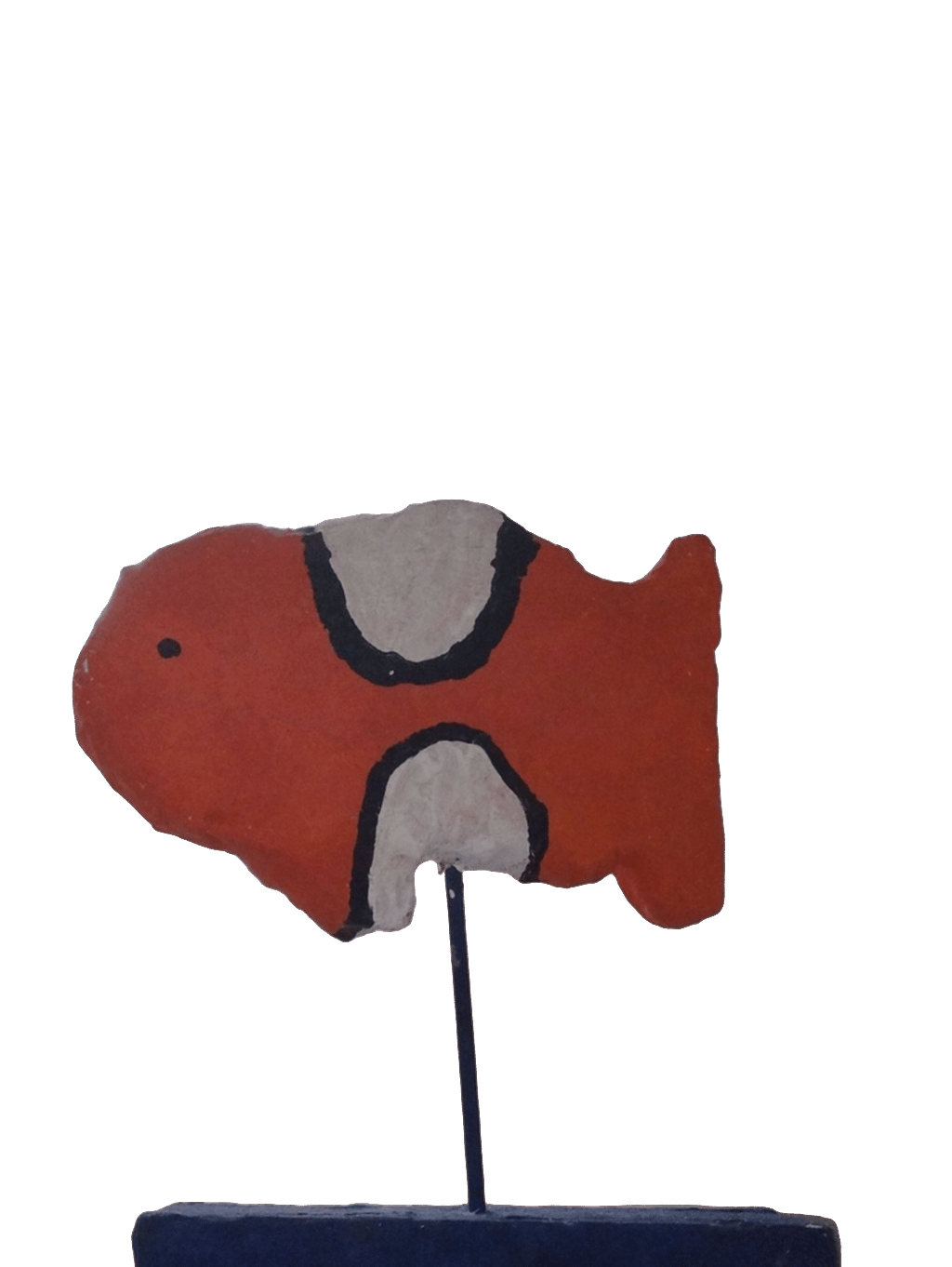 Poppy, a captured specimen