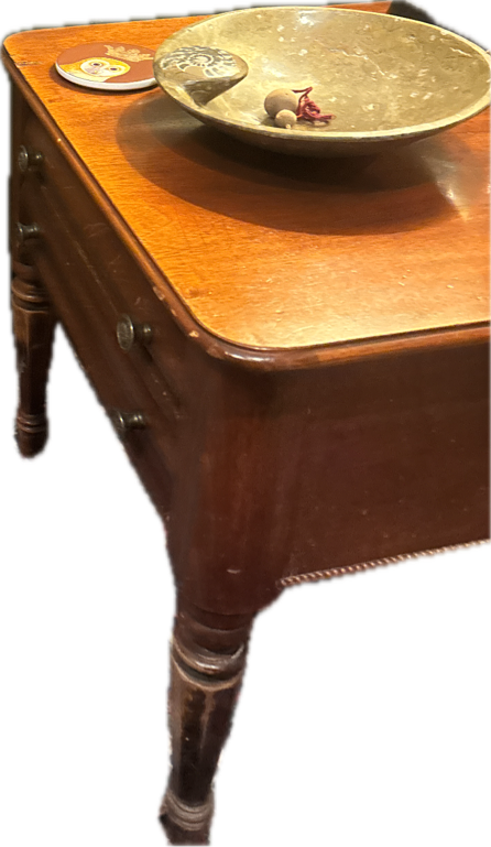 Doberman Pinscher, a captured specimen